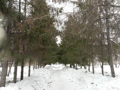 Плавающий Первомайский сквер